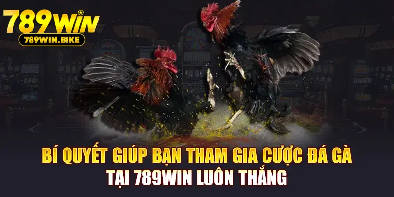 Bí quyết giúp bạn tham gia cược đá gà tại 789WIN luôn thắng