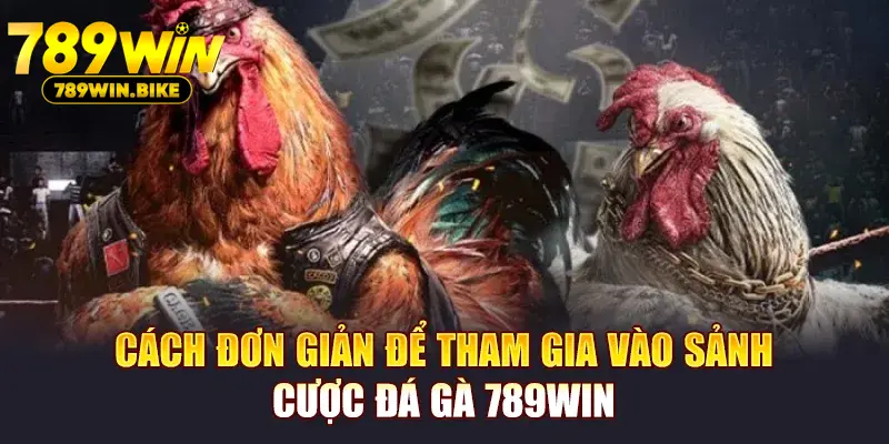 Cách đơn giản để tham gia vào sảnh cược đá gà 789WIN