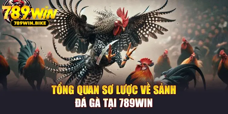 Tổng quan sơ lược về sảnh đá gà tại 789WIN